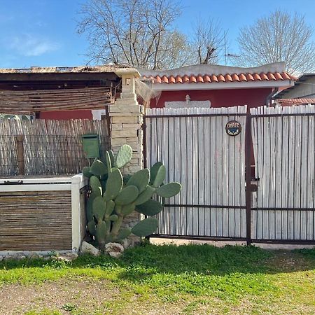 Apartmán Casa Fe Fregenae Exteriér fotografie