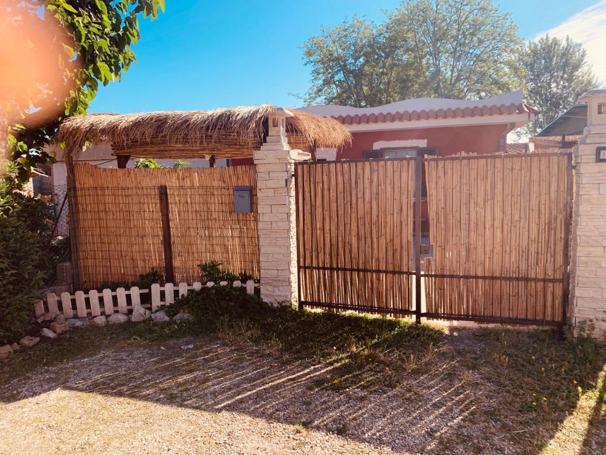 Apartmán Casa Fe Fregenae Exteriér fotografie