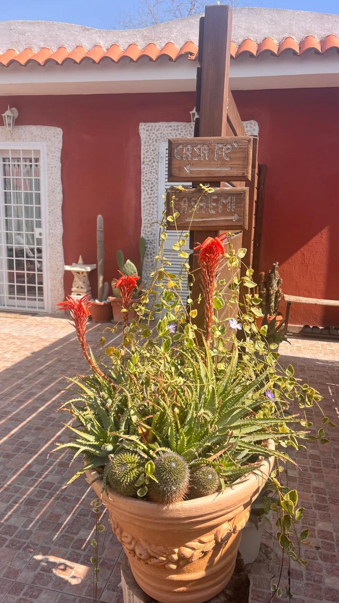 Apartmán Casa Fe Fregenae Exteriér fotografie